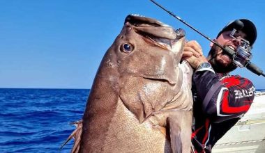 Κρήτη: Έκανε την ψαριά της ζωής του πιάνοντας βλαχοσφυρίδα 40 κιλών (βίντεο-φωτό)