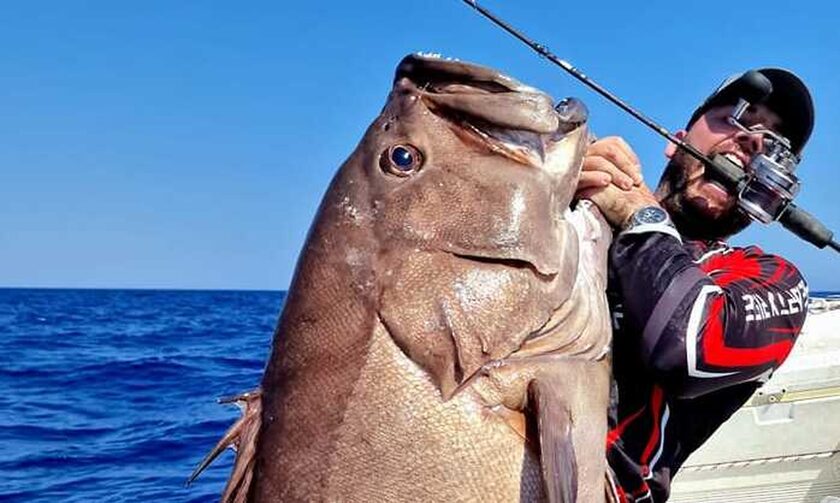 Κρήτη: Έκανε την ψαριά της ζωής του πιάνοντας βλαχοσφυρίδα 40 κιλών (βίντεο-φωτό)