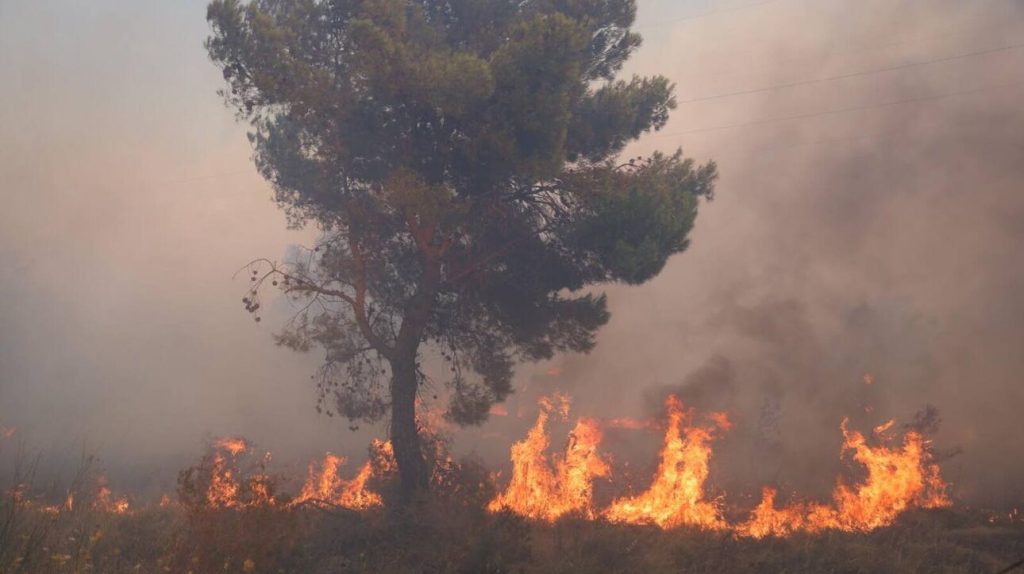 Φωτιά σε ανακυκλώσιμα υλικά στη δυτική Θεσσαλονίκη