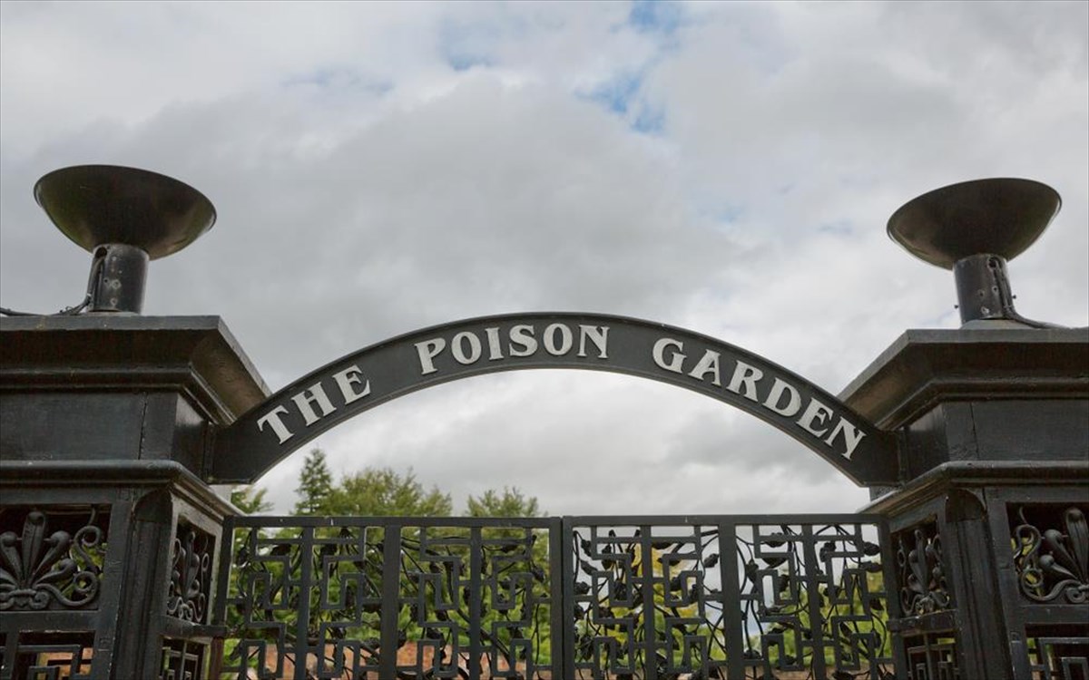 «Poison Garden»: Ο κήπος της Αγγλίας που κυριολεκτικά… σκοτώνει