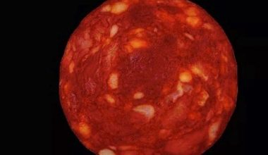 Επιστήμονας δημοσίευσε φωτογραφία αλλαντικού ισχυριζόμενος πως είναι μακρινό άστρο – «Ήταν αστείο» λέει τώρα