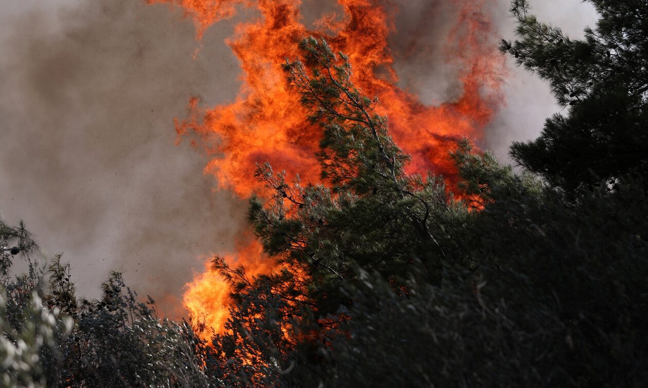 Φωτιά στην Χαλκίδα: Τρία τα μέτωπα – Οριοθετήθηκε η πυρκαγιά (upd)