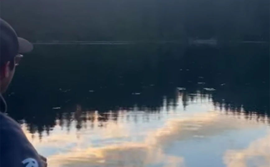 Kαναδάς: Έντομα σε λίμνη… χορεύουν με τον ρυθμό της κιθάρας (βίντεο)