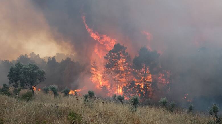 Πυροσβεστική: Επιπλέον 41 δασικές πυρκαγιές το τελευταίο 24ωρο