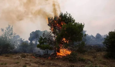 Πολύ υψηλός κίνδυνος πυρκαγιάς και τη Δευτέρα – Οι επικίνδυνες περιοχές