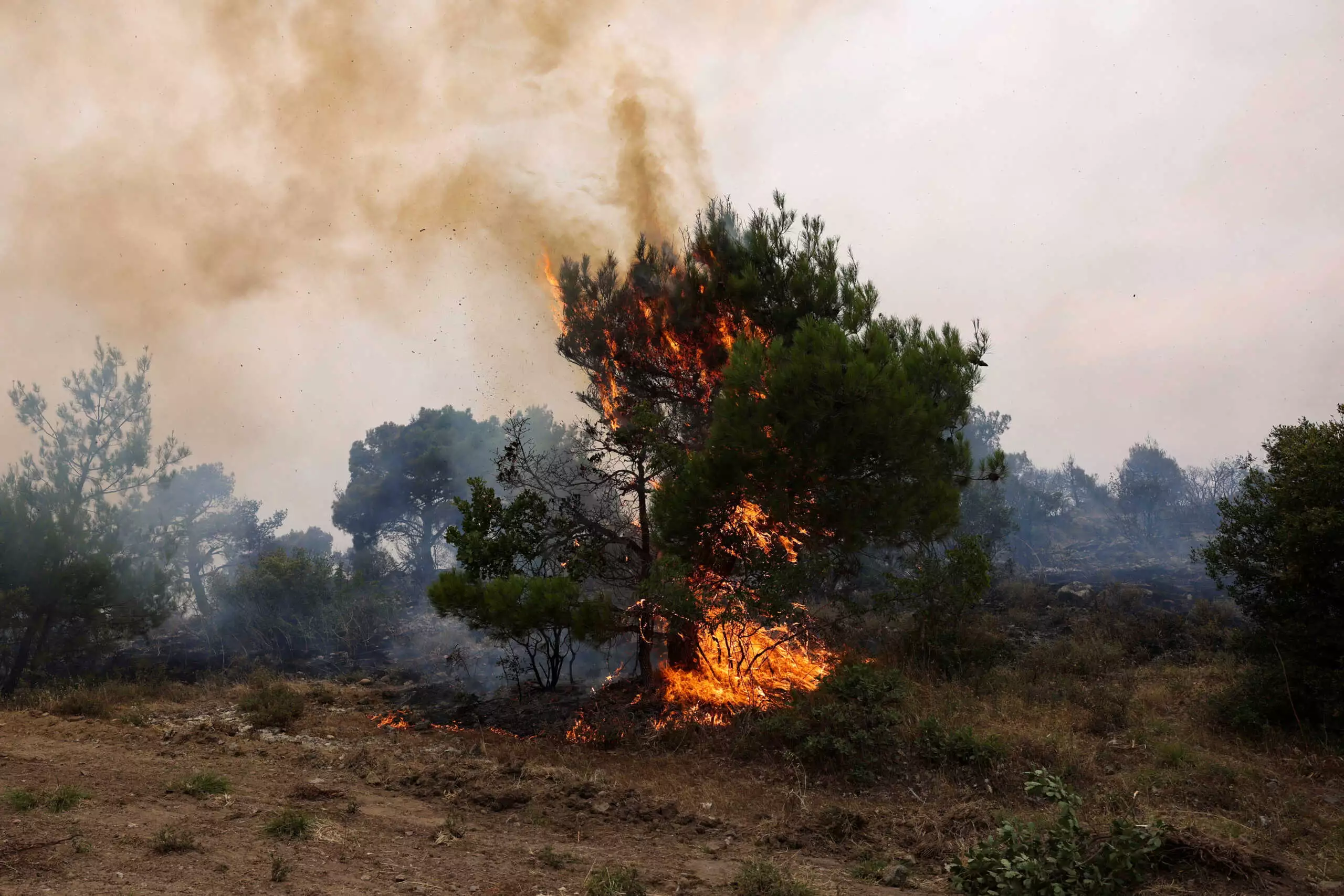Πολύ υψηλός κίνδυνος πυρκαγιάς και τη Δευτέρα – Οι επικίνδυνες περιοχές