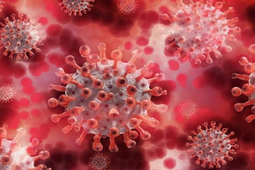 Δ.Γάκης: «Το εμβόλιο της Novavax χορηγεί την ακίδα του αρχικού βλαπτικότατου ιικού στελεχους της Wuhan»!