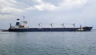 Η Άγκυρα ανακοίνωσε ότι άλλα δύο πλοία με δημητριακά απέπλευσαν από ουκρανικά λιμάνια