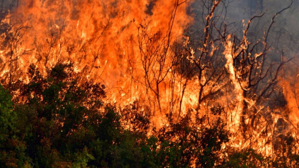 Υπό μερικό έλεγχο τέθηκε η πυρκαγιά στην Παιανία