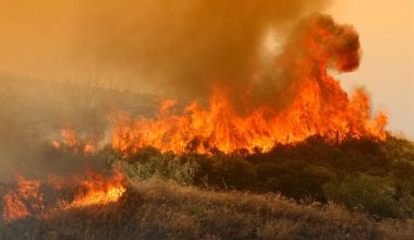 Ο χάρτης πρόβλεψης κινδύνου πυρκαγιάς – Οι επικίνδυνες περιοχές