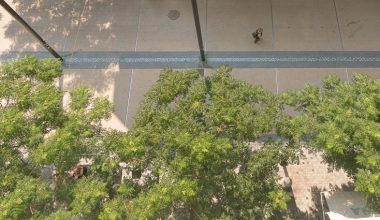 Σοκ στο Αίγιο: 23χρονη έπεσε από τον πέμπτο όροφο πολυκατοικίας – Δέντρα ανέκοψαν την πτώση της στο έδαφος
