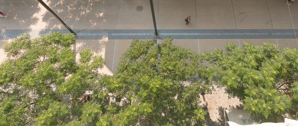 Σοκ στο Αίγιο: 23χρονη έπεσε από τον πέμπτο όροφο πολυκατοικίας – Δέντρα ανέκοψαν την πτώση της στο έδαφος