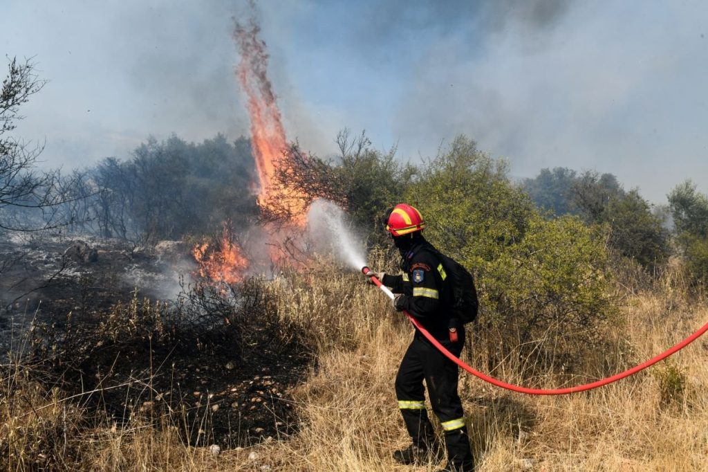 Φωτιά στη Θεσσαλονίκη – Οι πυκνοί καπνοί έχουν «πνίξει» την περιοχή