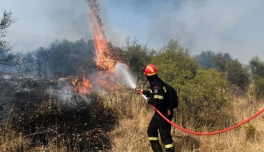 Αράχωβα: Φωτιά σε δασική έκταση στο Ζεμενό
