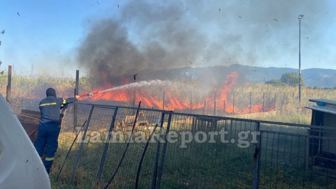 Λαμία: Ξέσπασαν τρεις φωτιές με διαφορά δέκα λεπτών (φώτο)
