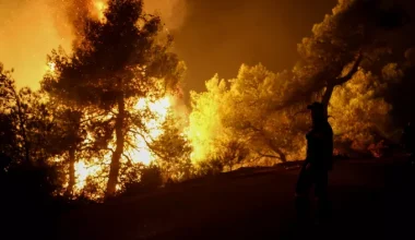 Μεγάλη πυρκαγιά σε πευκοδάσος του δήμου Ερυμάνθου στην Αχαΐα – Φωτιά και στο Πετρωτό Φθιώτιδας