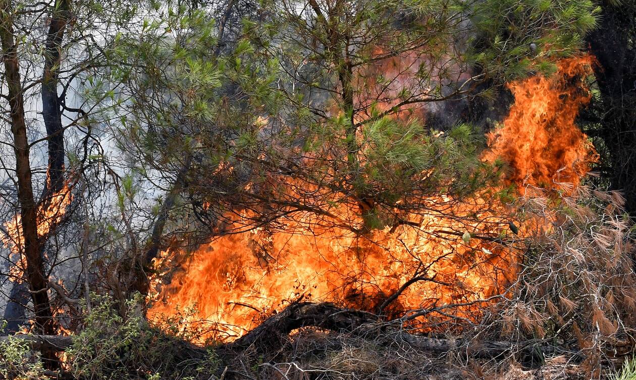 Μαίνονται οι δύο φωτιές σε Δομοκό και Σαμοθράκη