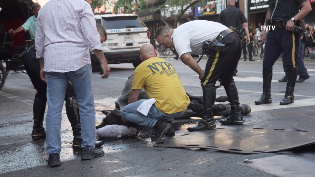 Μανχάταν: Οδηγός χτυπούσε το άλογο άμαξας που κατέρρευσε στο δρόμο – «Έβραζαν» οι περαστικοί (βίντεο)