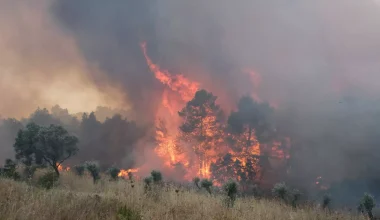 Πυροσβεστική: 130 φωτιές το τελευταίο 24ωρο – Σε ποιες περιοχές υπάρχει υψηλός κίνδυνος σήμερα