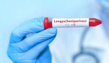 Σχεδόν τρία χρόνια μετά τον Covid-19 η Κίνα αντιμέτωπη με τον ιό Langya: Δεκάδες τα κρούσματα – Ποια τα συμπτώματα