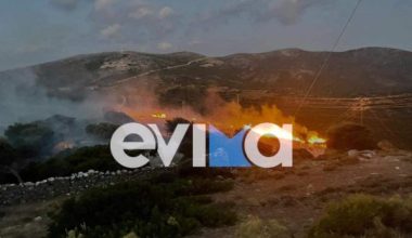 Φωτιά ξέσπασε τα ξημερώματα στην Εύβοια – Τέθηκε γρήγορα υπό έλεγχο