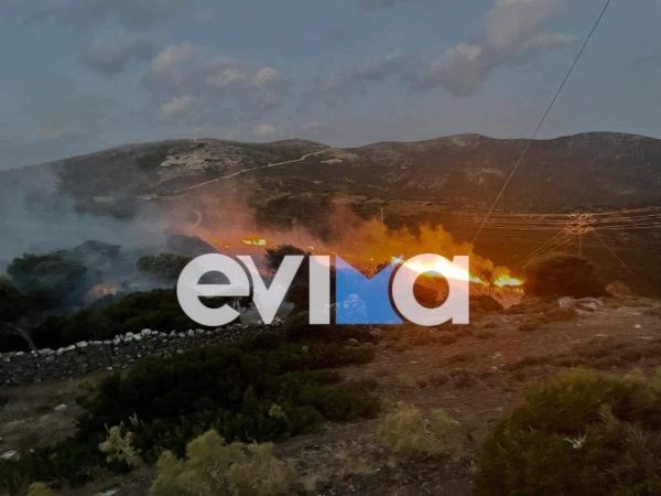 Φωτιά ξέσπασε τα ξημερώματα στην Εύβοια – Τέθηκε γρήγορα υπό έλεγχο