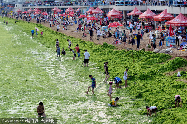 Κι όμως στην Κίνα κάνουν μπάνιο σε… πράσινη παραλία – Πώς απέκτησε αυτό το χρώμα (φωτο)