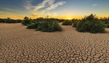 Τα χειρότερα επίπεδα των τελευταίων 500 ετών πλησιάζει η ξηρασία στην Ευρώπη – Τα στοιχεία σε σχέση με το 2021