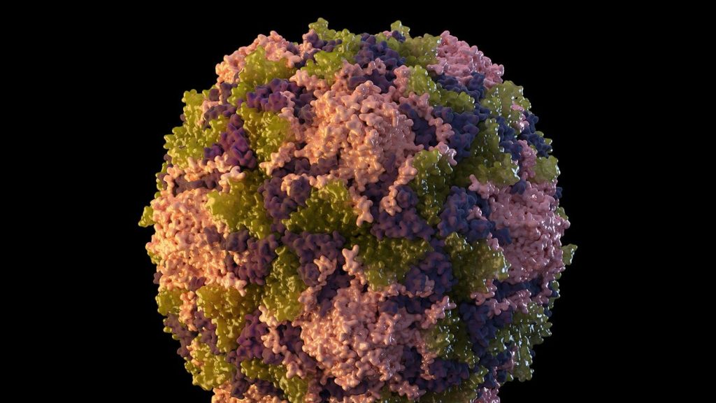 ΗΠΑ: Σε επιφυλακή οι υγειονομικές Αρχές λόγω κρούσματος πολιομυελίτιδας στη Νέα Υόρκη