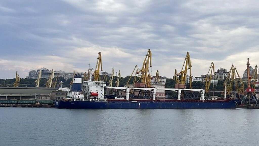 Ουκρανία: Άλλα δύο πλοία με φορτία δημητριακών αναχώρησαν από τα λιμάνια