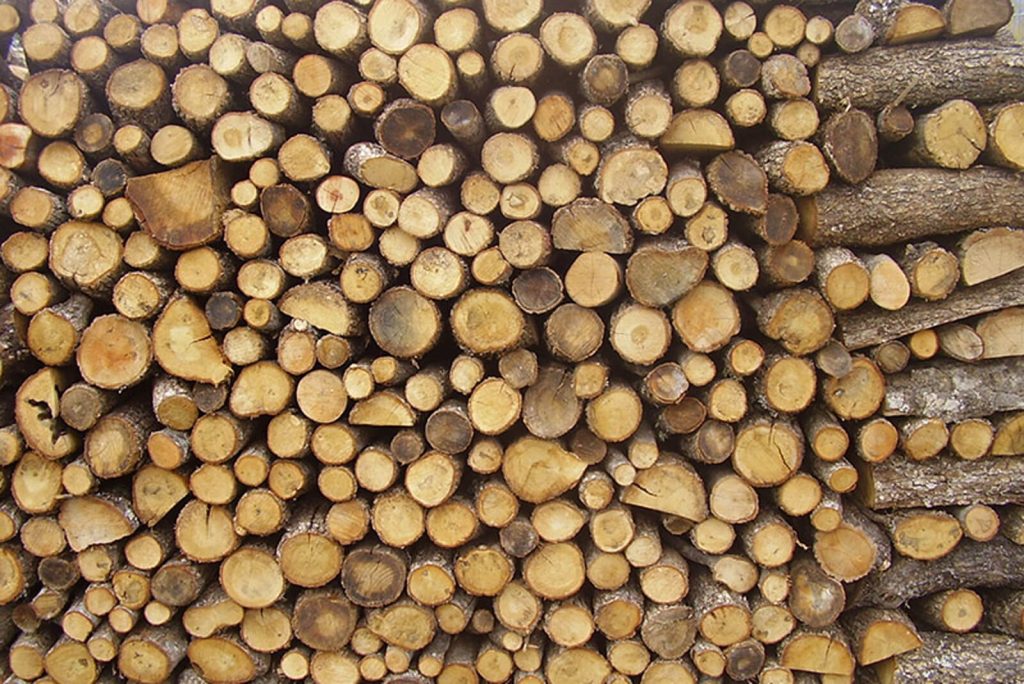 Η ισχυρότερη οικονομία της ΕΕ μετά τις κυρώσεις στην Ρωσία: Οι Γερμανοί αποθηκεύουν καυσόξυλα για το χειμώνα