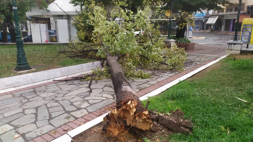 Βόλος: Εικόνες χάους από την κακοκαιρία – Τραυματίστηκαν δύο άτομα (βίντεο)