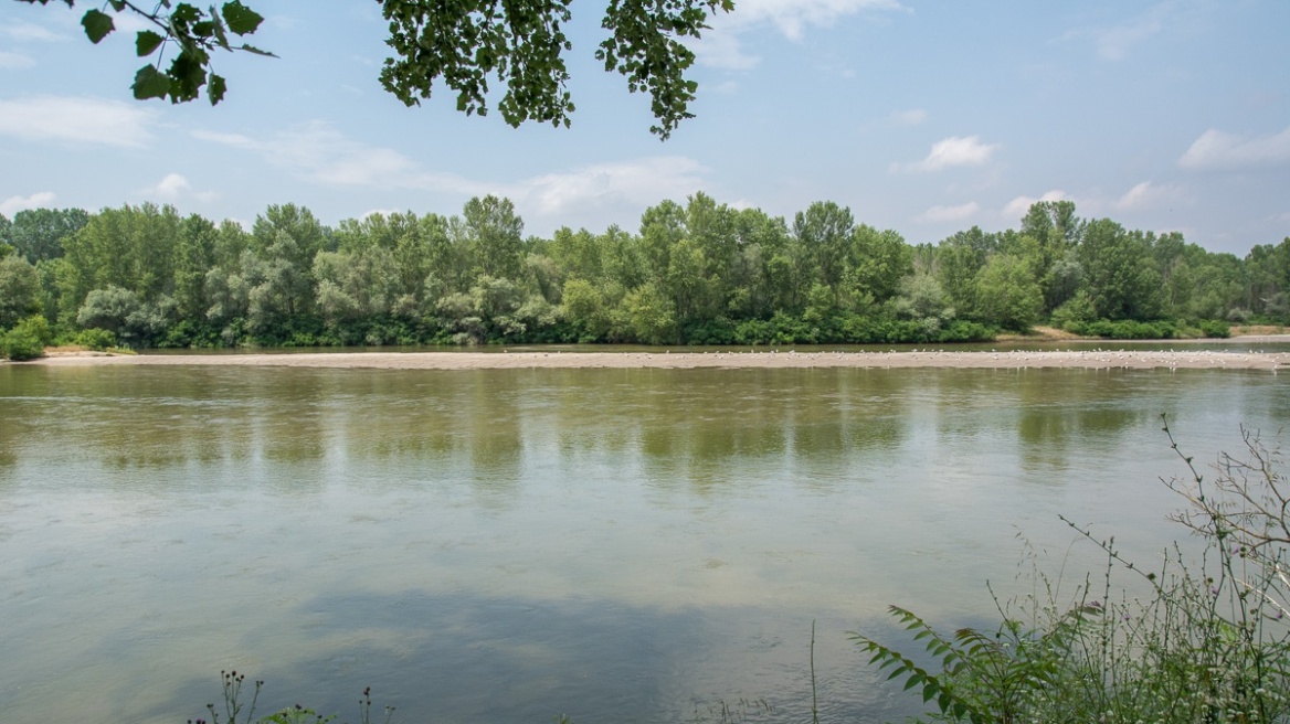 Αρχηγείο της ΕΛ.ΑΣ. για αλλοδαπούς στον Έβρο: «Προπαγάνδα του ΣΥΡΙΖΑ σε βάρος της ίδιας της πατρίδας μας»