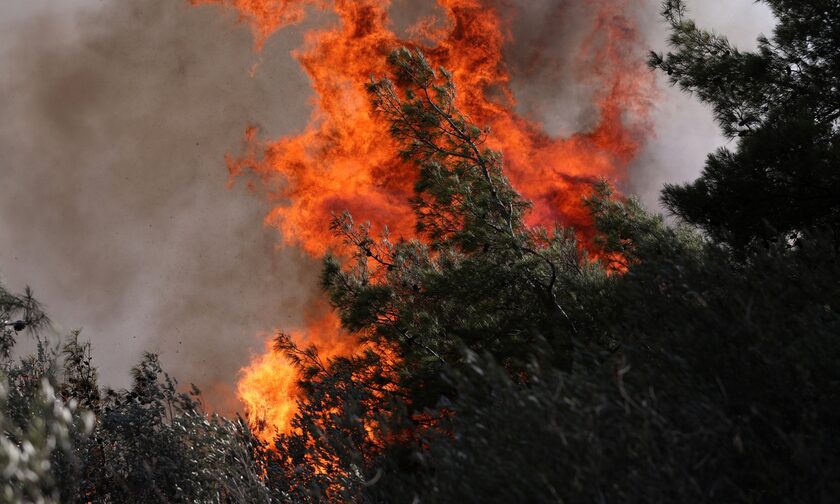 Φωτιά σε δασική έκταση στον Έβρο – Στην περιοχή Αισύμη