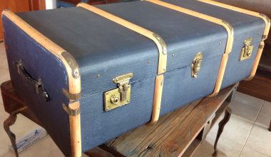 Νέα Ζηλανδία: Αγόρασαν βαλίτσα σε δημοπρασία και βρήκαν μέσα… ανθρώπινα οστά