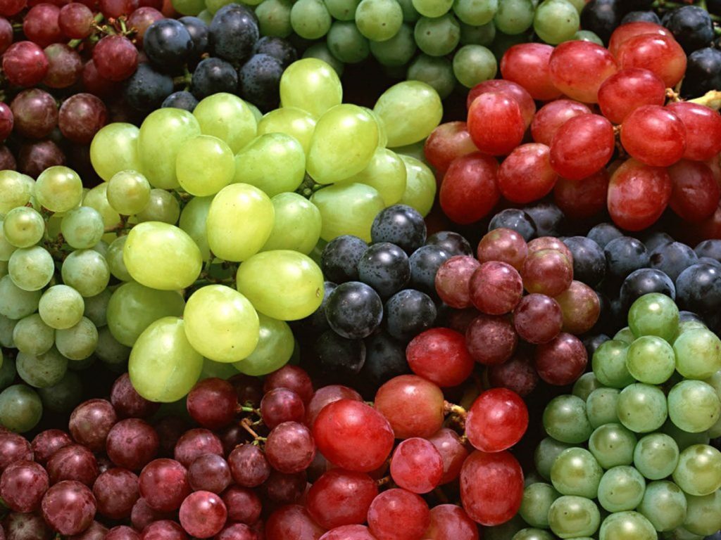 Σταφύλια: Το «μαγικό» φρούτο που ωφελεί την υγεία και προάγει την μακροζωία