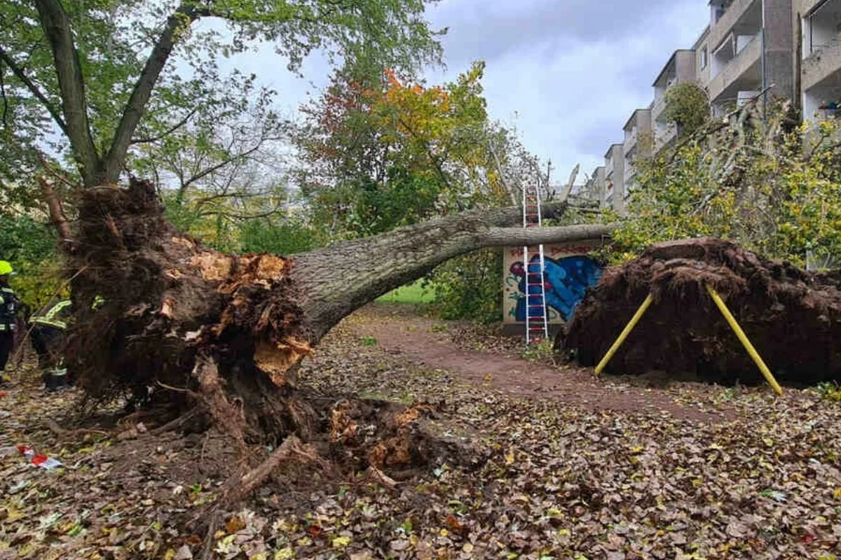 Σφοδρή θύελλα κακοκαιρίας στην Ευρώπη: Ανάμεσα στα θύματα και παιδιά