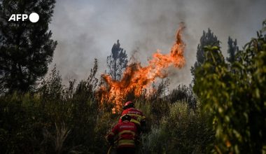 Πορτογαλία: Περιορίστηκε η πυρκαγιά στον εθνικό δρυμό Σέρα ντα Εστρέλα