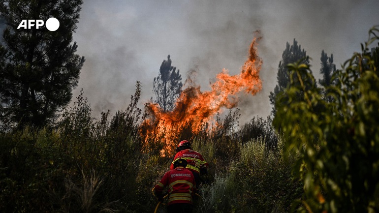 Πορτογαλία: Περιορίστηκε η πυρκαγιά στον εθνικό δρυμό Σέρα ντα Εστρέλα