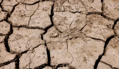 Ευρώπη: Η ξηρασία φέρνει αυξήσεις σε κρέας και γαλακτοκομικά