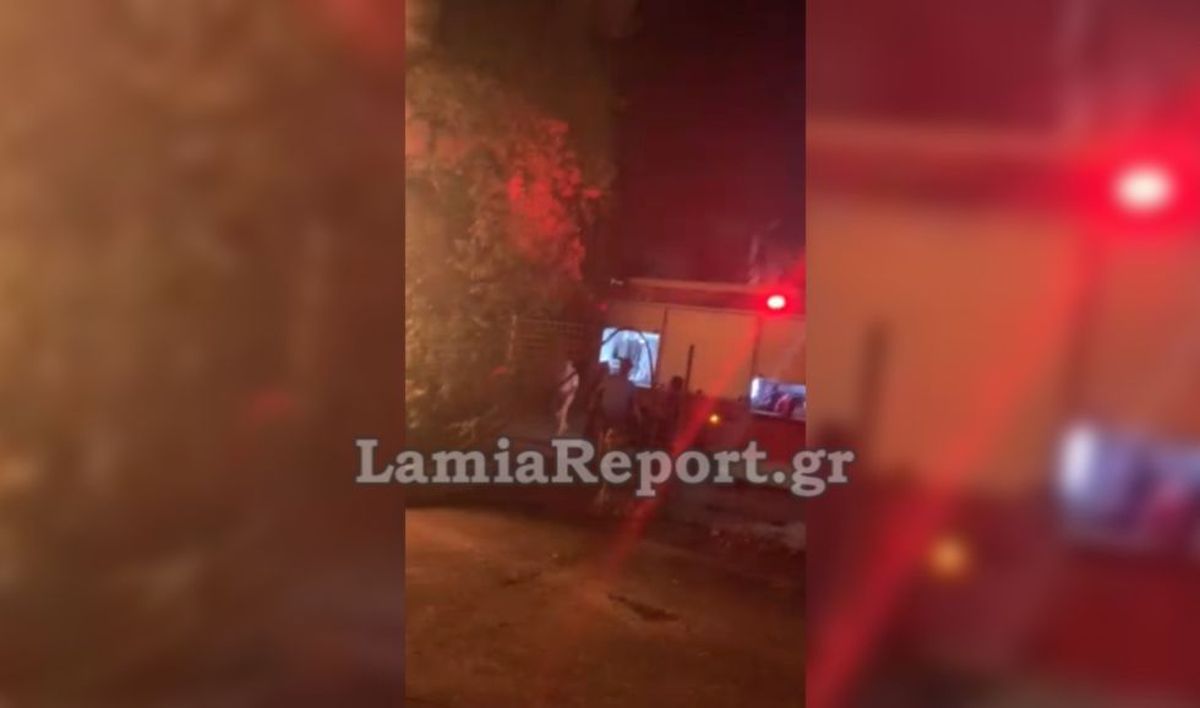 Απίστευτο περιστατικό στη Φωκίδα: Πιτσιρικάδες έπαιζαν με δυναμιτάκια και έκαψαν υπεραιωνόβιο πλάτανο (βίντεο)