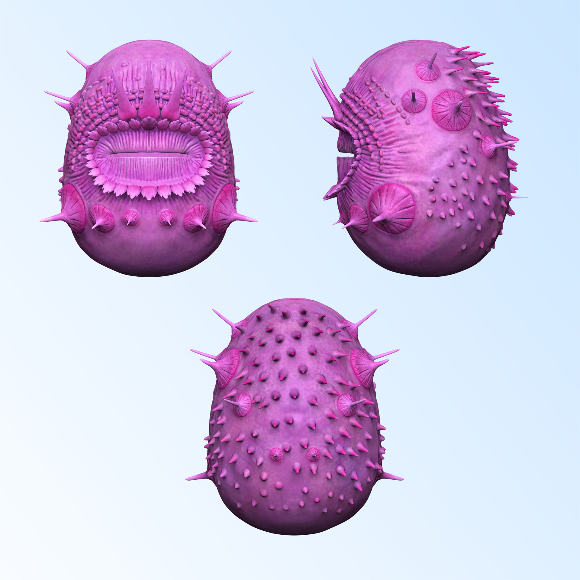 Λύθηκε το μυστήριο του πλάσματος 500 εκατομμυρίων ετών που δεν είχε πρωκτό