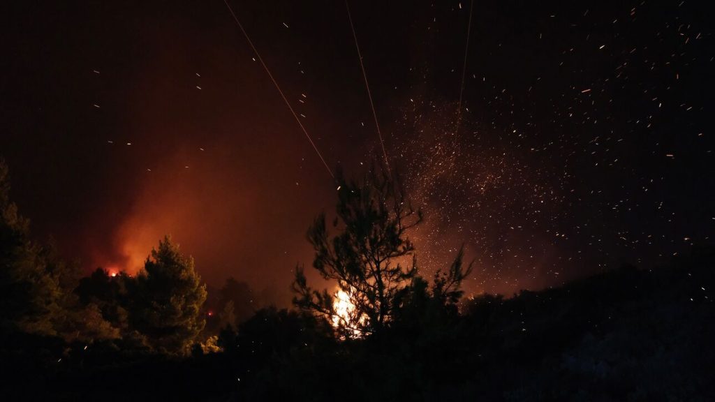 «Το 84% που κάηκε στην Θάσο ήταν δάσος» – Η εκτίμηση του Αστεροσκοπείο
