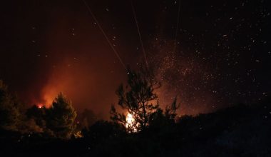 «Το 84% που κάηκε στην Θάσο ήταν δάσος» – Η εκτίμηση του Αστεροσκοπείου Αθηνών