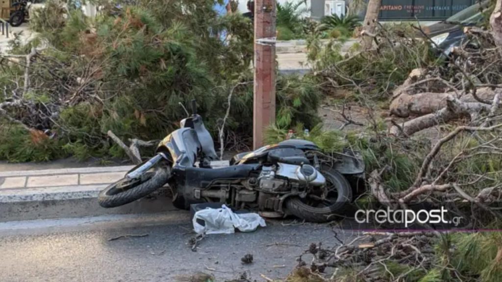 Κρήτη: Ξεσπά ο γιος του 50χρονου που καταπλακώθηκε από δέντρο – «Θα κινηθούμε νομικά»