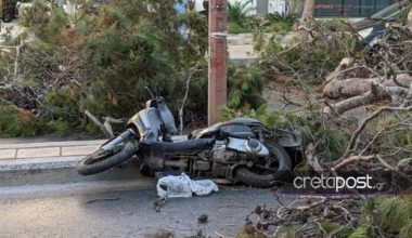 Κρήτη: Ξεσπά ο γιος του 50χρονου που καταπλακώθηκε από δέντρο – «Θα κινηθούμε νομικά»