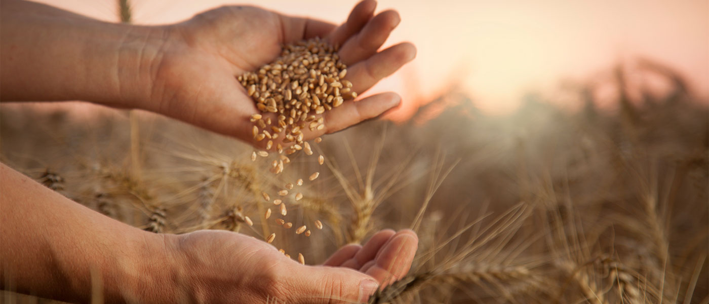 Γ.Γ. ΟΗΕ Α.Γκουτιέρες: «Αν οι δυτικοί δεν άρουν τις τραπεζικές κυρώσεις κατά της Ρωσίας θα πεινάσει ο πλανήτης το 2023»!