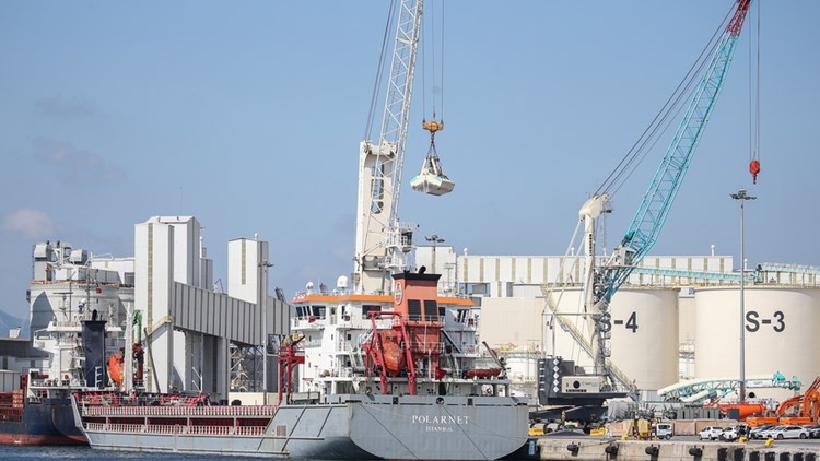 Ουκρανία: Ακόμα δύο πλοία με αγροτικά προϊόντα αναχώρησαν από λιμάνι της Μαύρης Θάλασσας
