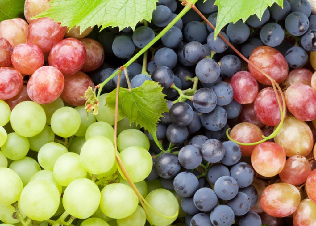 Σταφύλι: Το φρούτο με τις 12 θεραπευτικές ιδιότητες