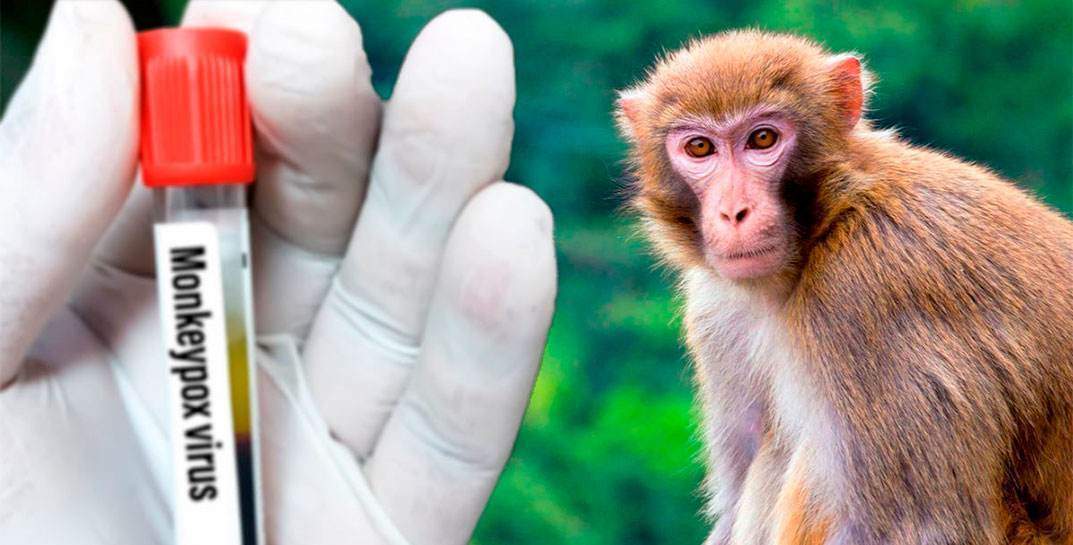 ΠΟΥ: Σημαντική μεταβολή στην επιδημία ευλογιάς των πιθήκων – Έχουν αναφερθεί κρούσματα σε 96 χώρες